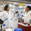 Medical School Faculty in Discussion in a Lab